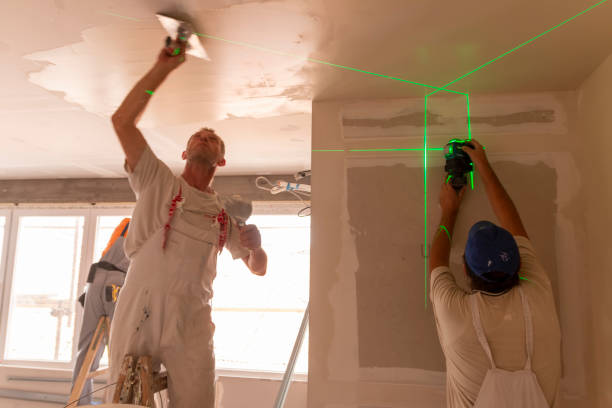 Best Fire-Damaged Drywall Repair  in Grain Valley, MO